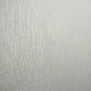 Superfresco Paintable Wallpaper String 284