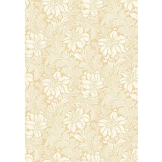 Acanthus - Yellow