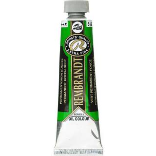 Rembrandt Royal Talens Artists 'Oil Color 40 ml Tube Permanent Green Deep (01056192)