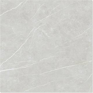 Marmor Klinker Prestige Ljusgrå Polerad 60x60 cm
