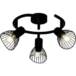 Brilliant - Elhi 3 - Spotlight