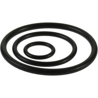 Vsh Fabrieken Vsh viton o-ring 76,1 mm syrefast/fz