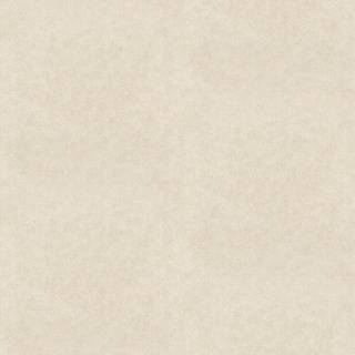 Shagreen - 312910