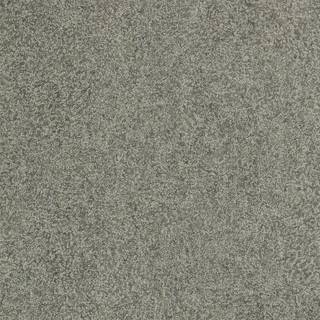 Shagreen - 312907