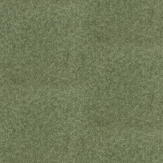 Shagreen - 312905