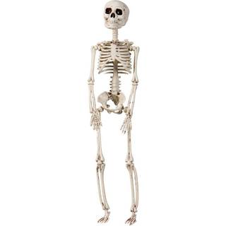 Halloween Skelet 76 cm.