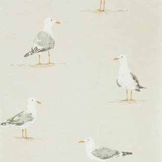 Shore Birds Driftwood - DCOA216563