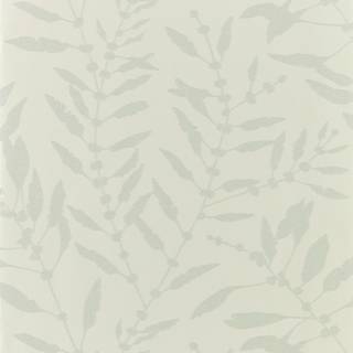 Chaconia Shimmer Sand - HANZ111659