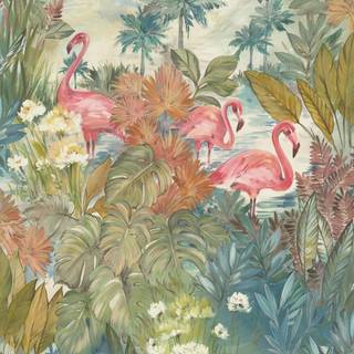 Albany Wallpaper Sarasota 91261
