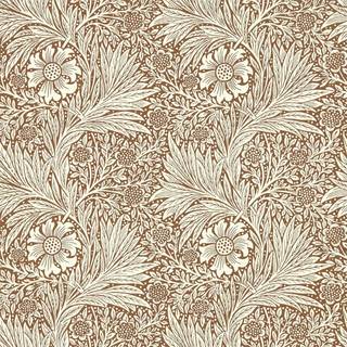 Marigold - Chocolate/Cream