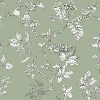 Laura Ashley Wallpaper Elderwood 113348