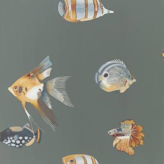 Kamanu Amber/Slate - HANZ111648