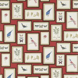 Picture Gallery Red/Multi - 213398