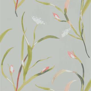 Saona Coral/Silver - HZAP111756