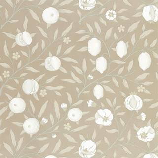 Pure Fruit Gilver - DMPN216541