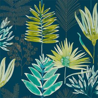 Yasuni Emerald/Zest - HZAP111761