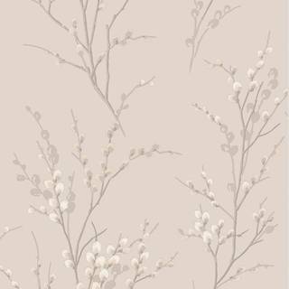 Laura Ashley Wallpaper Pussy Willow 113361
