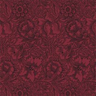 Poppy - Claret