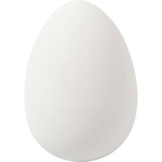 Creativ Company Goose eggs White 8st.