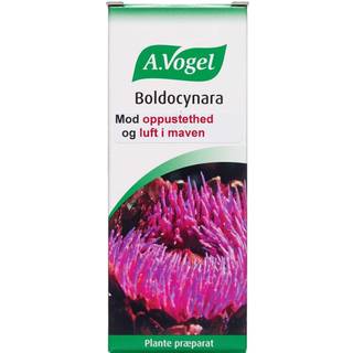 A.Vogel Boldocynara Dråber 100 ml