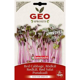 GEO Rødkålsfrø ØKO, 12 g