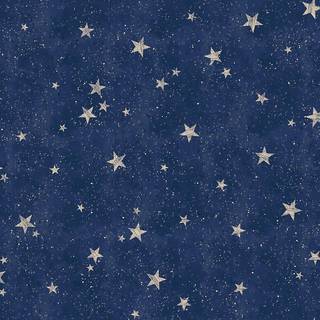 Albany Wallpaper Starlight Stars M1490