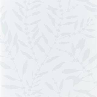 Chaconia Shimmer Pearl - HANZ111660