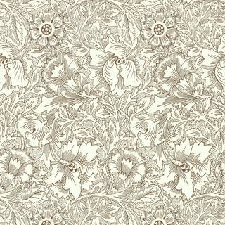 Poppy - Chocolate/Cream