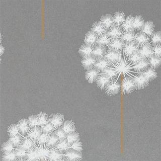 Amity - HPUT111888