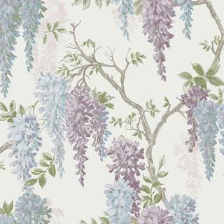 Wisteria Garden - 113356