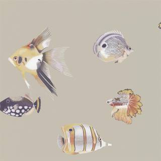 Harlequin Wallpaper Kamanu 111647