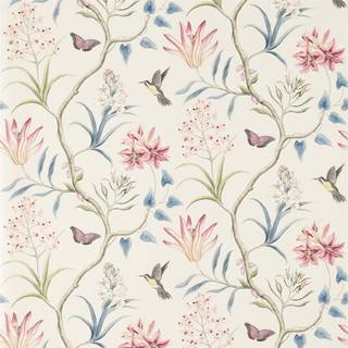 Clementine Indienne - 213387
