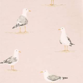 Shore Birds Blush - DCOA216562