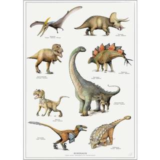 Tryk A4: Dinosaur