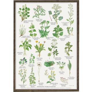 Koustrup & Co Plakat - Spiselige Vilde Planter