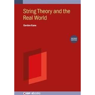 String Theory and the Real World (Second Edition)