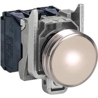 Schneider Lampe hvid 120v ac   ledxb4bvg1
