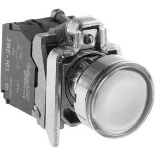 Schneider Lampetryk hvid 120v acxb4bw31g5