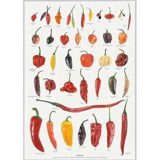 Koustrup TRYK A4 - Chili - Bøger / Plakater fra Koustrup & Co