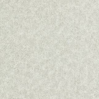 Shagreen - 312909