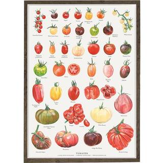 Koustrup TOMATER - Plakat A2 - Bøger / Plakater fra Koustrup & Co