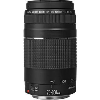 Canon EF 4-5.6/75-300 mm III Canon EF
