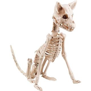 Siddende hund skelet, 30 cm