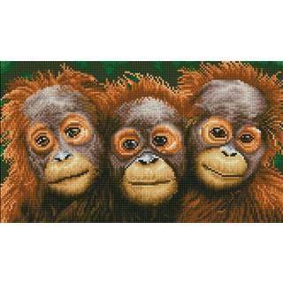 Diamond Dotz 47 x 27 cm - Orangutanger