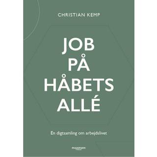 Job på Håbets Allé