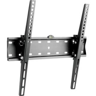 Roline bracket - for LCD display - black 40 kg 55" 200 x 200 mm