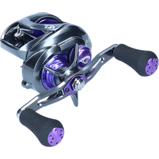 Daiwa 21 Prorex XR TWS 300HL