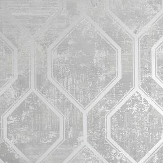 Superfresco Wallpaper Armature Geo 113259