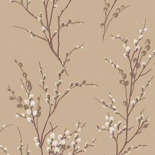 Laura Ashley Wallpaper Pussy Willow 113358