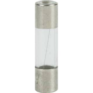 DF Glas finsikring 5x20 Flink 0,25A